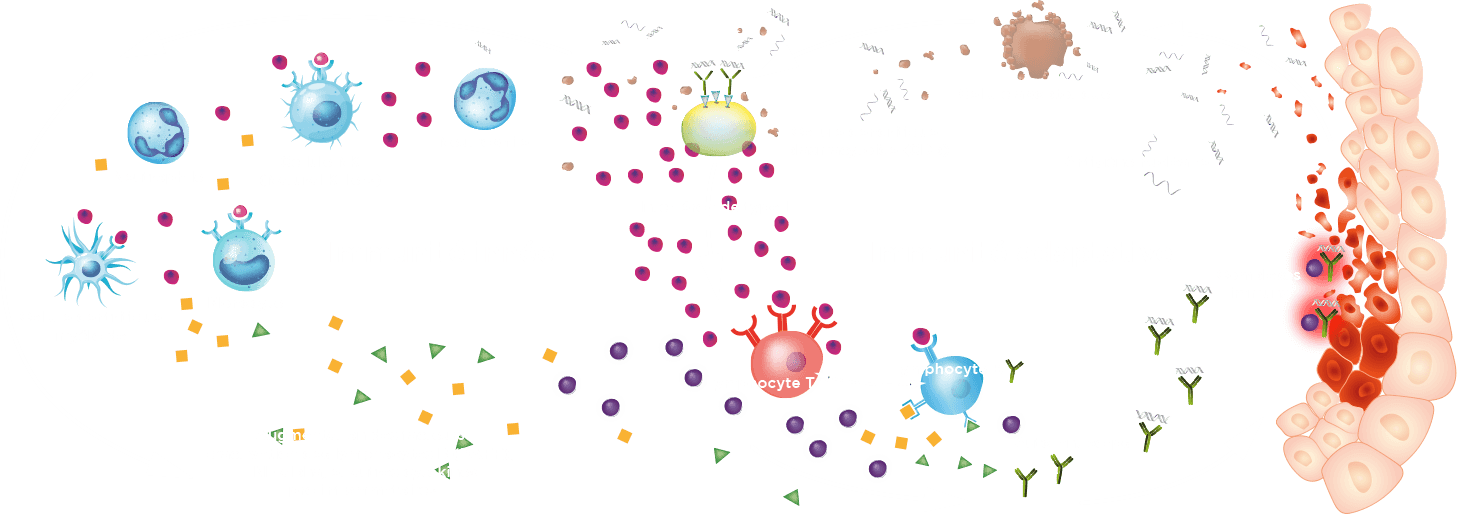 implication-de-immunité